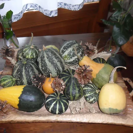 Bed and Breakfast I Camuni Capo di Ponte