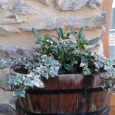 I Camuni Capo di Ponte